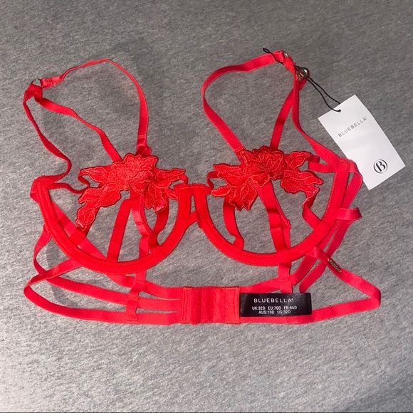🔴SOLD🔴 NWT Bluebella Eden Bra - Picture 6 of 8